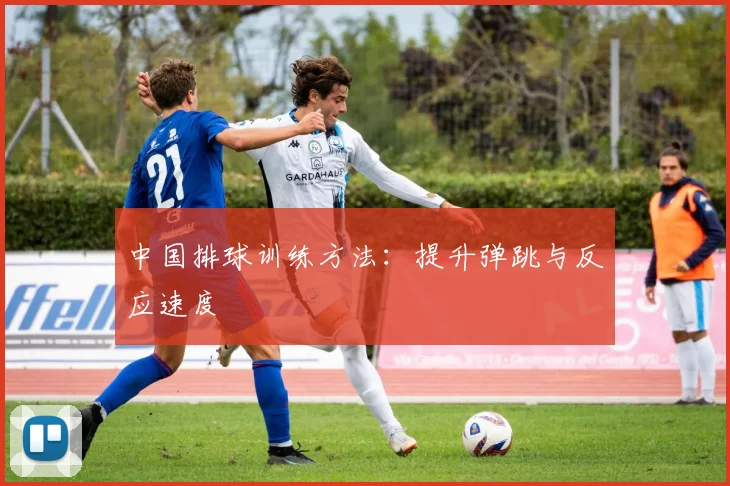 中国排球训练方法：提升弹跳与反应速度